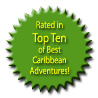 The Mangrove Center is Rated in Top Ten of Best Caribbean Adventures